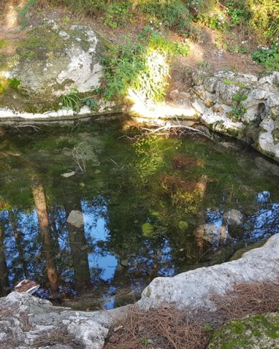 טיול ג׳יפים וחוויית שטח